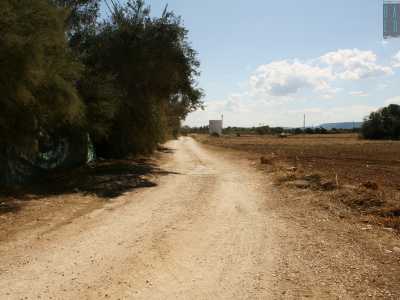Il lago salato si trova in contrada Marzone, fra cala Sottile e cala Verde, le ultime due spiaggette libere prima di Capitolo. Partendo dal parcheggio del camping Santo Stefano imbocchiamo sulla destra una stradina sterrata che, costeggiando la campagna, dopo cinquecento metri porta davanti al cancello di una villa privata